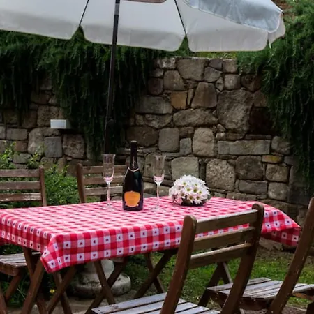 Collecchio - Tulipano Pescia
