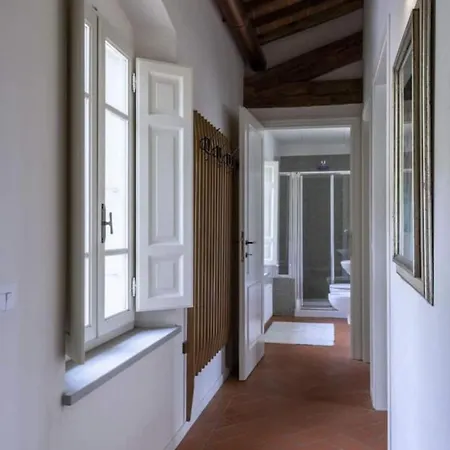 Collecchio - Tulipano